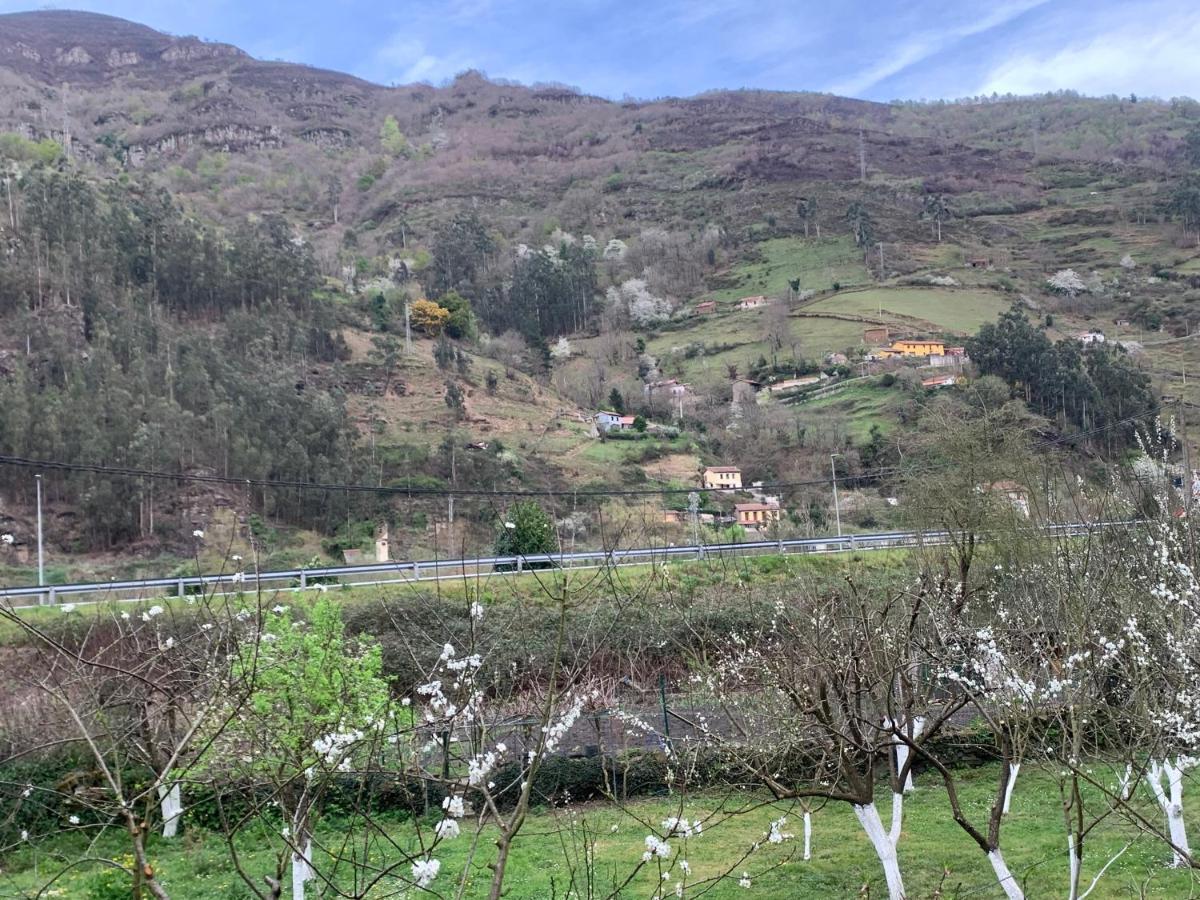 Casa Rural En Santa Cruz-Mieres Bustiello  Kültér fotó