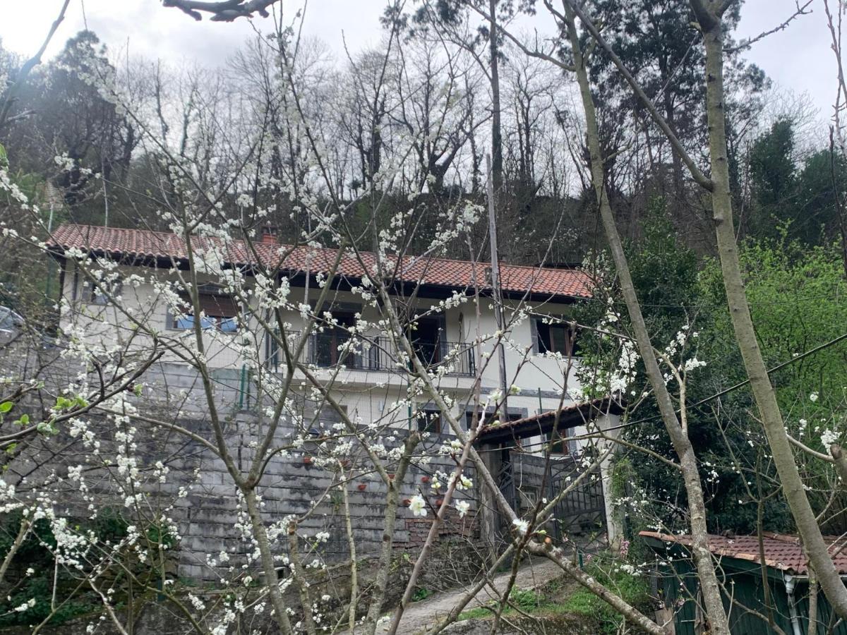 Casa Rural En Santa Cruz-Mieres Bustiello  Kültér fotó