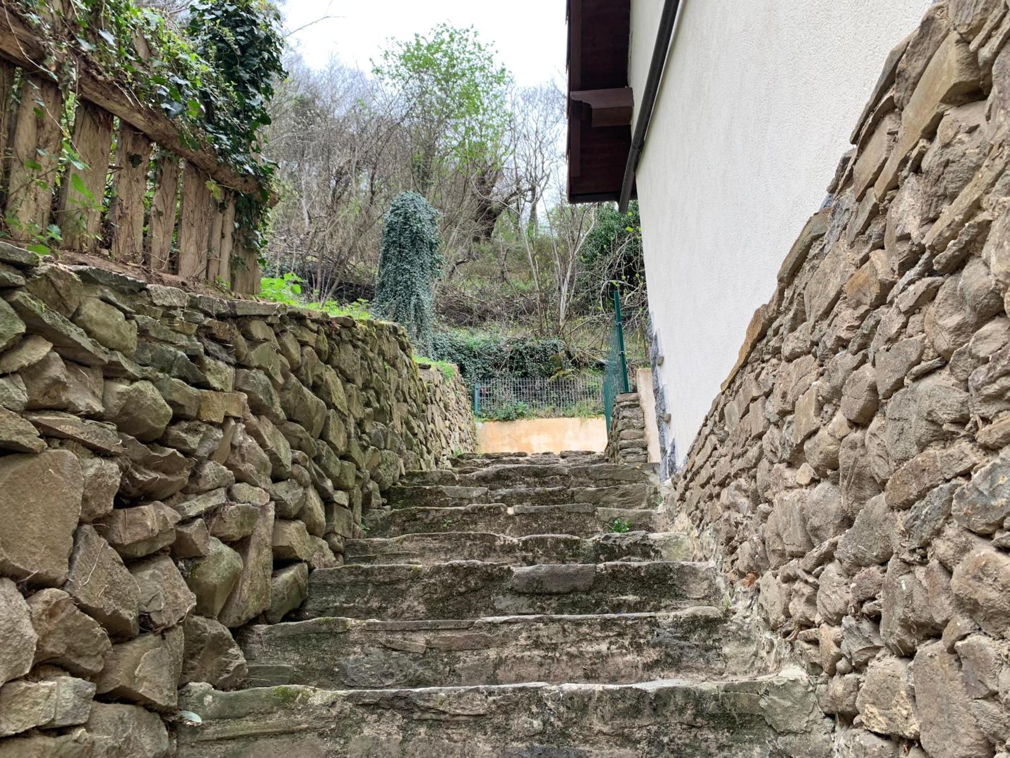 Casa Rural En Santa Cruz-Mieres Bustiello  Kültér fotó